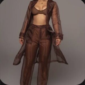 JLUXLABEL Sheer Organza Pants